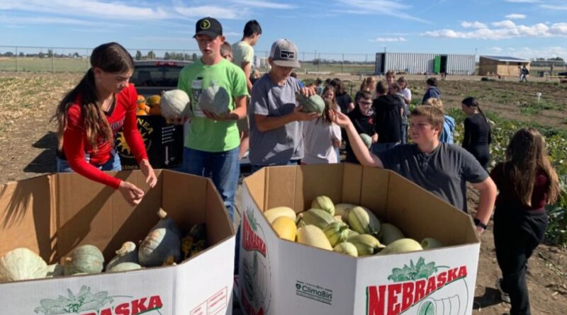 Iniciativas agrícolas da Igreja geram alimentos e esperança ao redor do mundo